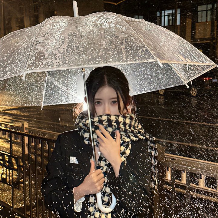 失踪: 消失的妻子